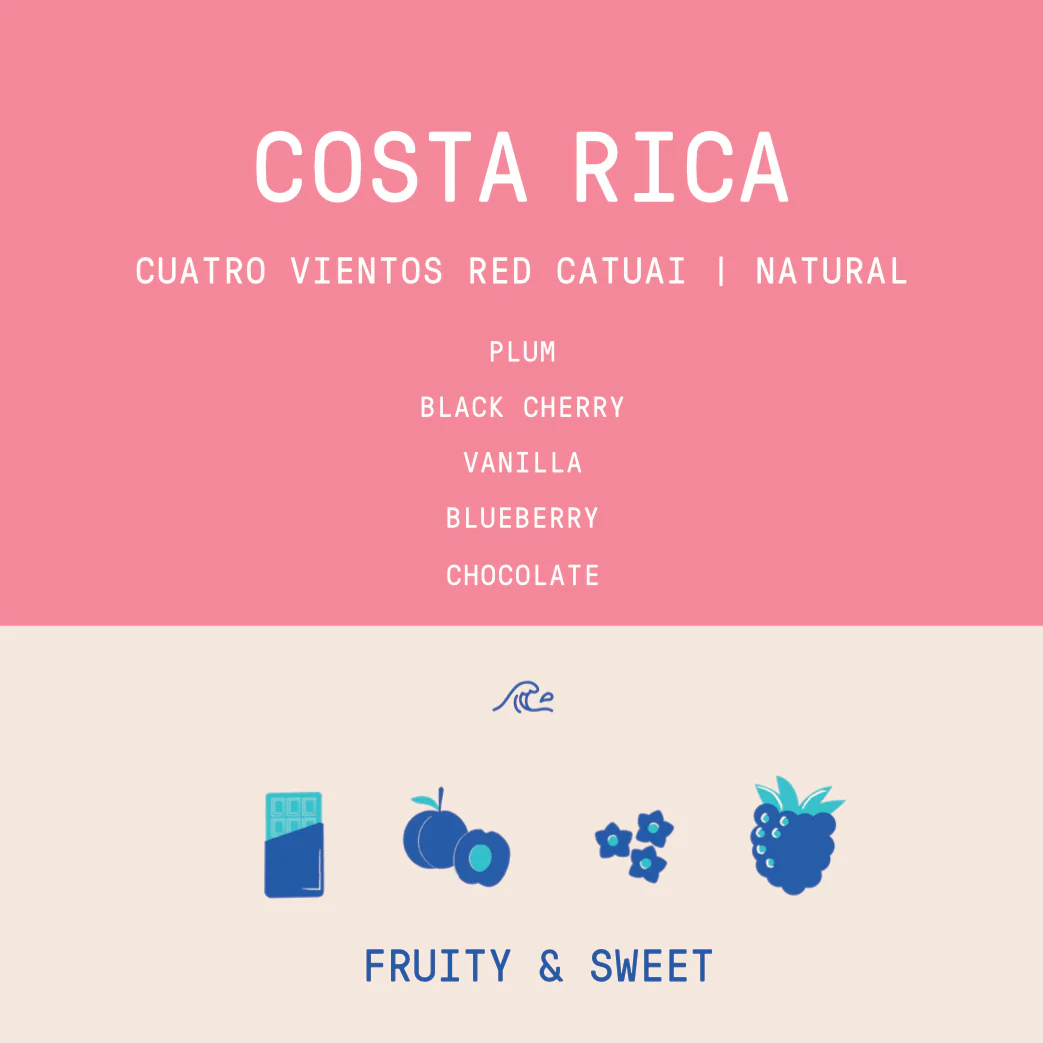 Costa Rica - Ivan Solis - Cuatro Vientos | Modulación Aromática Natural - Archived - Image 2