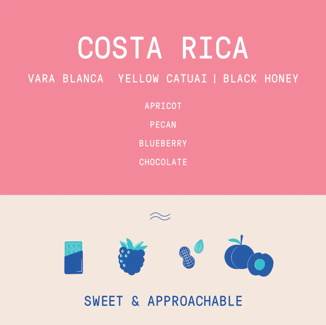 Costa Rica - Ivan Solis - Vara Blanca | Black Honey - Archived - Image 2