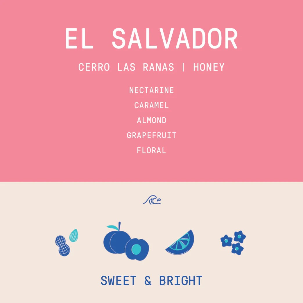El Salvador - Cerro Las Ranas | Honey - Archived - Image 2