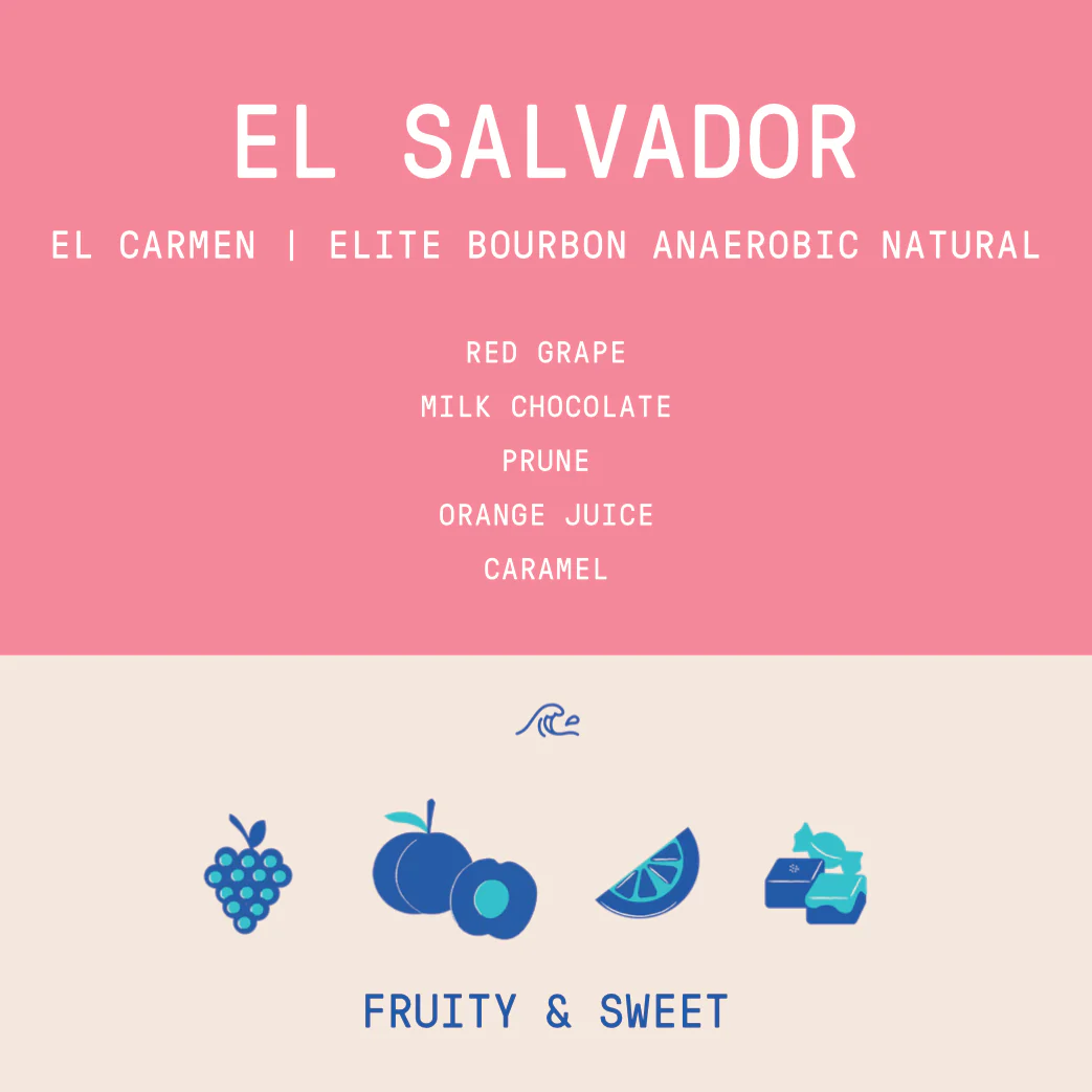 El Salvador - El Carmen | Elite Bourbon Anaerobic Natural - Archived - Image 2