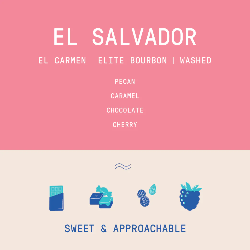 El Salvador - El Carmen | Elite Bourbon Washed - Archived - Image 2