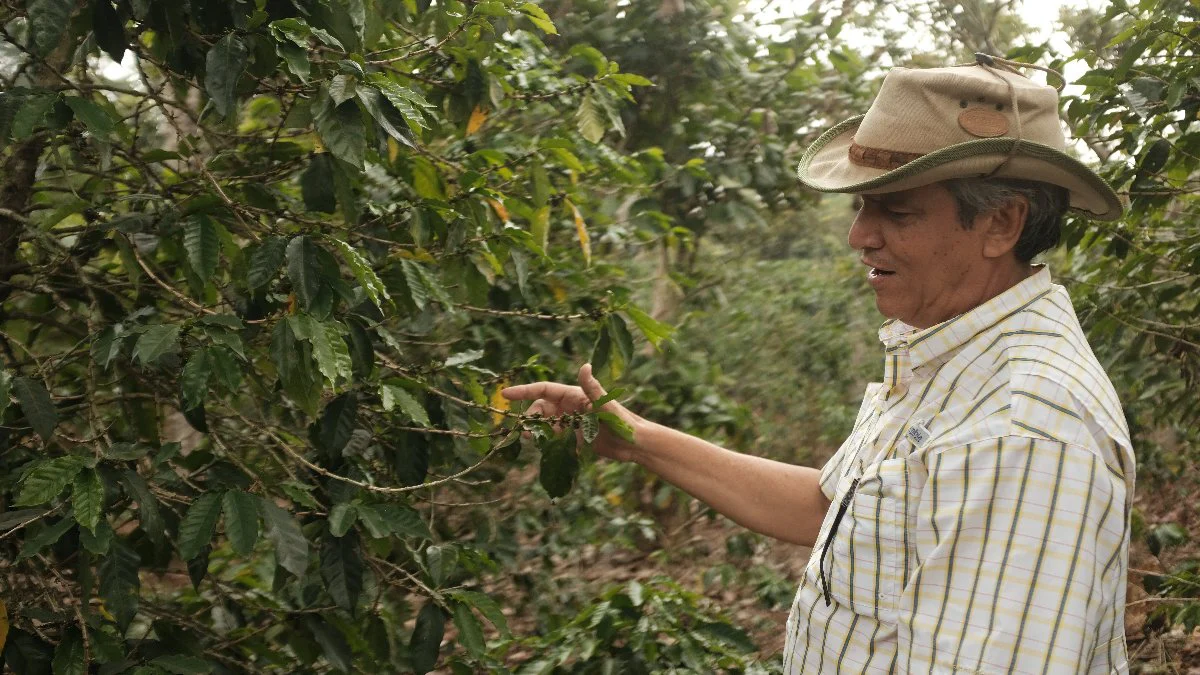 El Salvador - El Carmen | Elite Bourbon Anaerobic Natural - Archived - Image 3