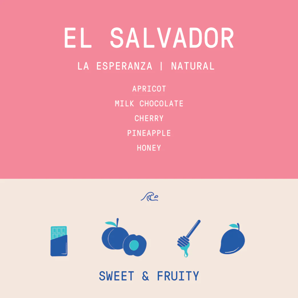 El Salvador - La Esperanza Belismelis-Alvarez family | Natural - Archived - Image 2