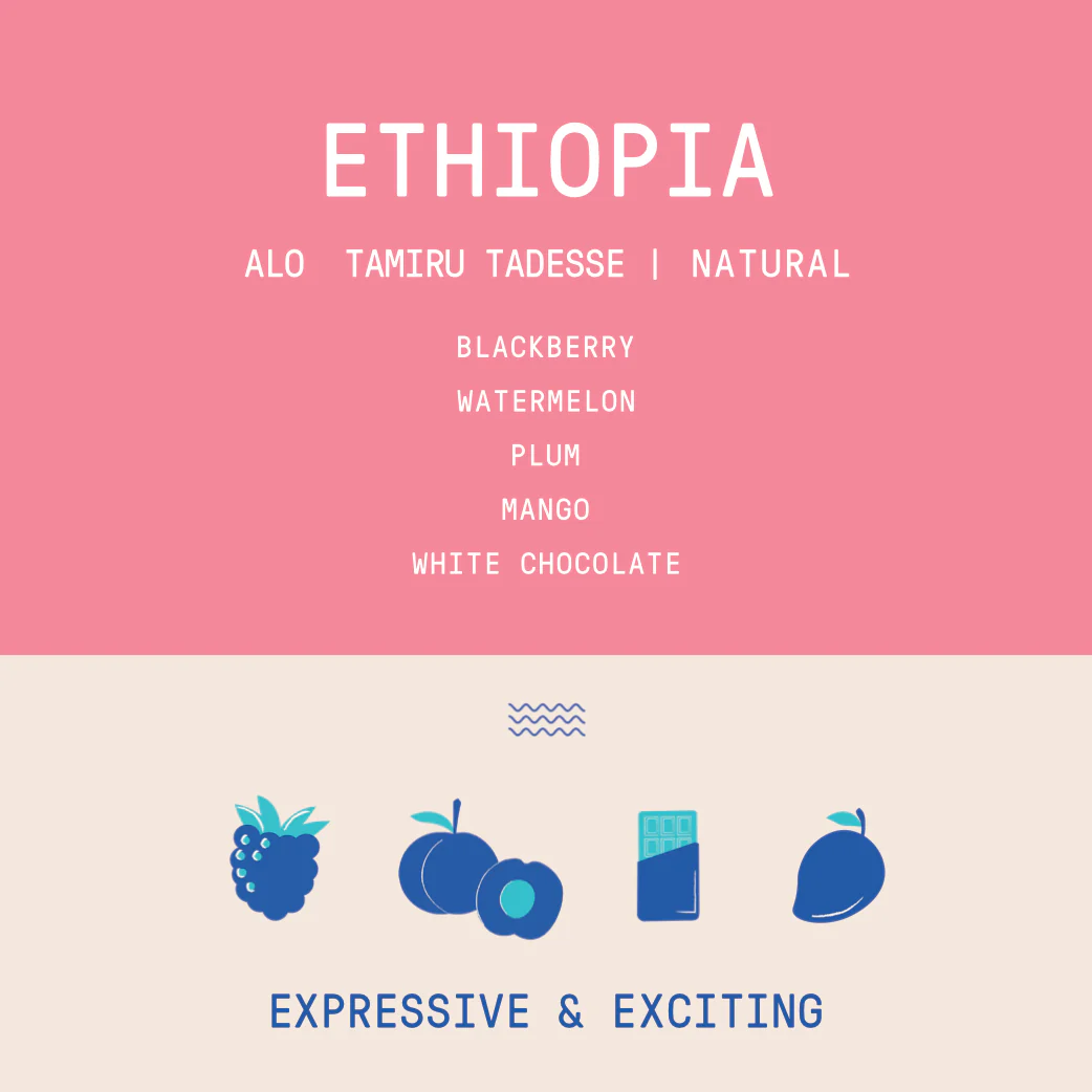 Ethiopia - Alo coffee Tamiru Tadesse | Mosto Natural - 200g - Archived - Image 2
