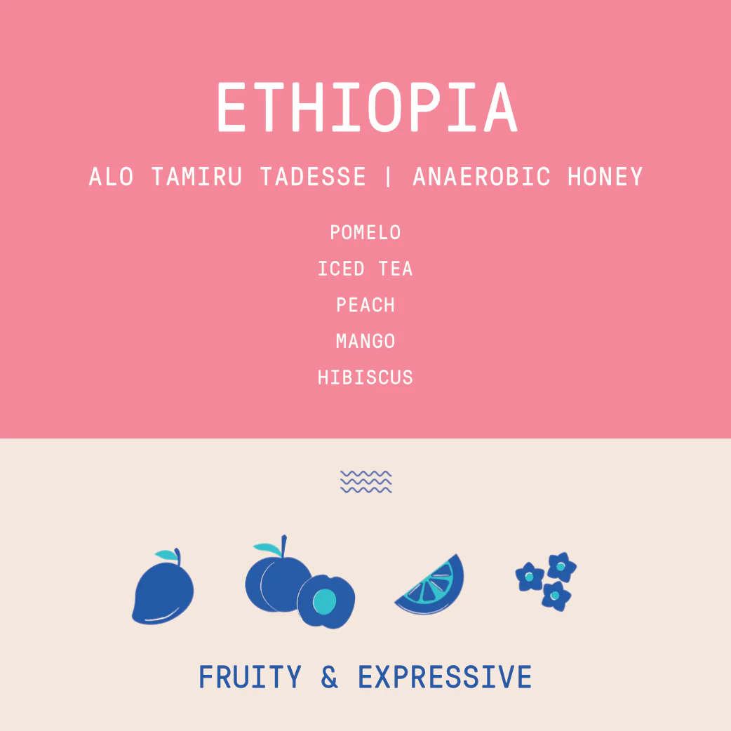 Ethiopia - Alo coffee Tamiru Tadesse | Anaerobic Honey - 200g - Archived - Image 2