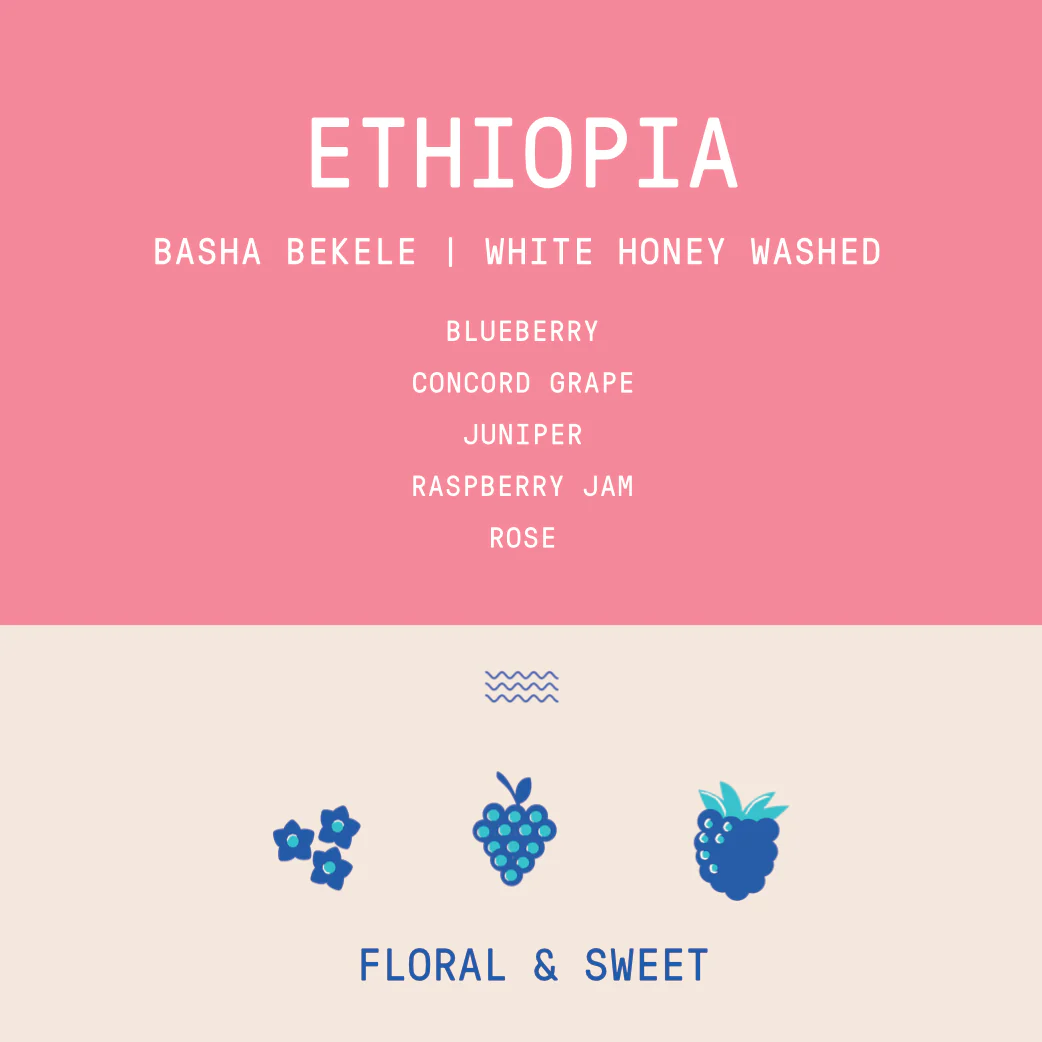 Ethiopia - Basha Bekele | White Honey Washed - Archived - Image 2