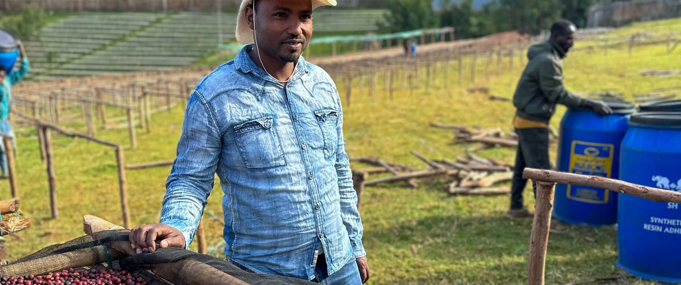 Ethiopia - Basha Bekele | White Honey Washed - Archived - Image 3