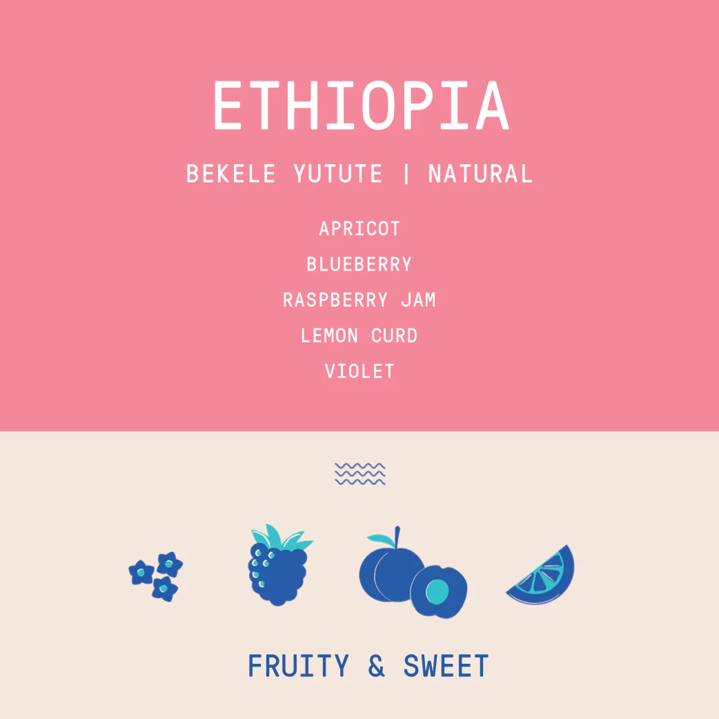 Ethiopia - Bekele Yutute | Natural - Archived - Image 2