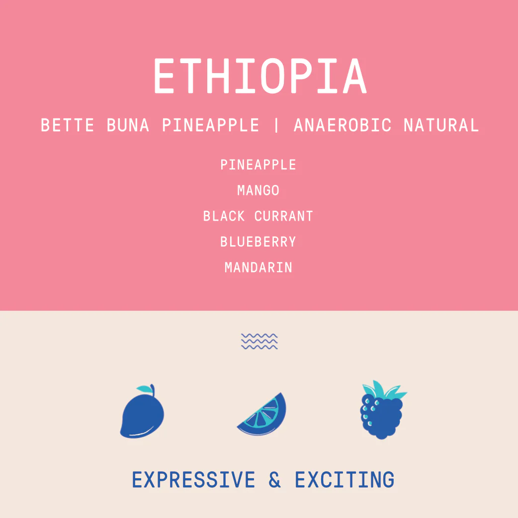Ethiopia - Bette Buna Taferi Kela Pineapple Co-Ferment | Anaerobic Natural - Archived - Image 2