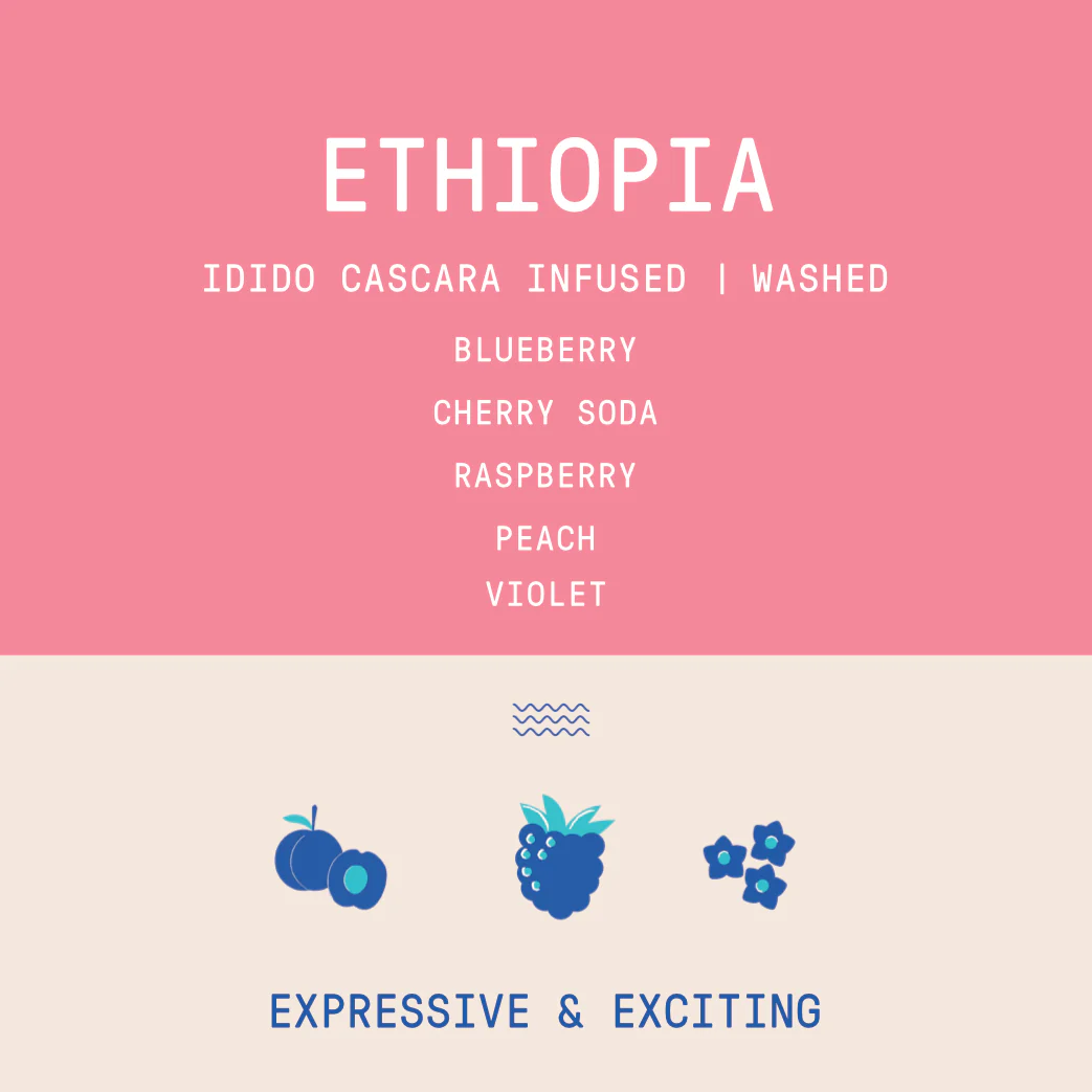 Ethiopia - Idido Cascara Infused | Washed - Archived - Image 2