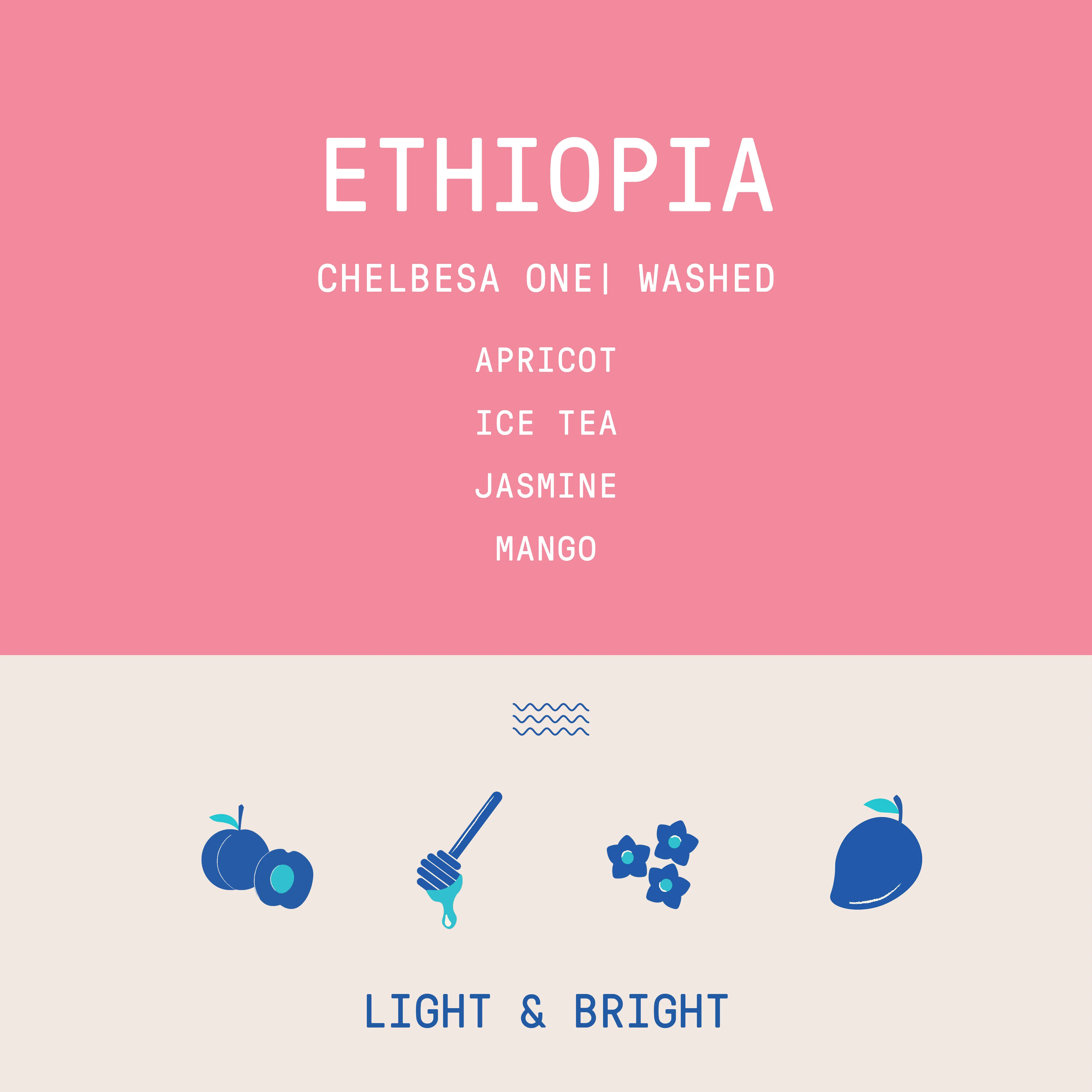 Ethiopia - Chelbesa One | Washed - Archived - Image 2