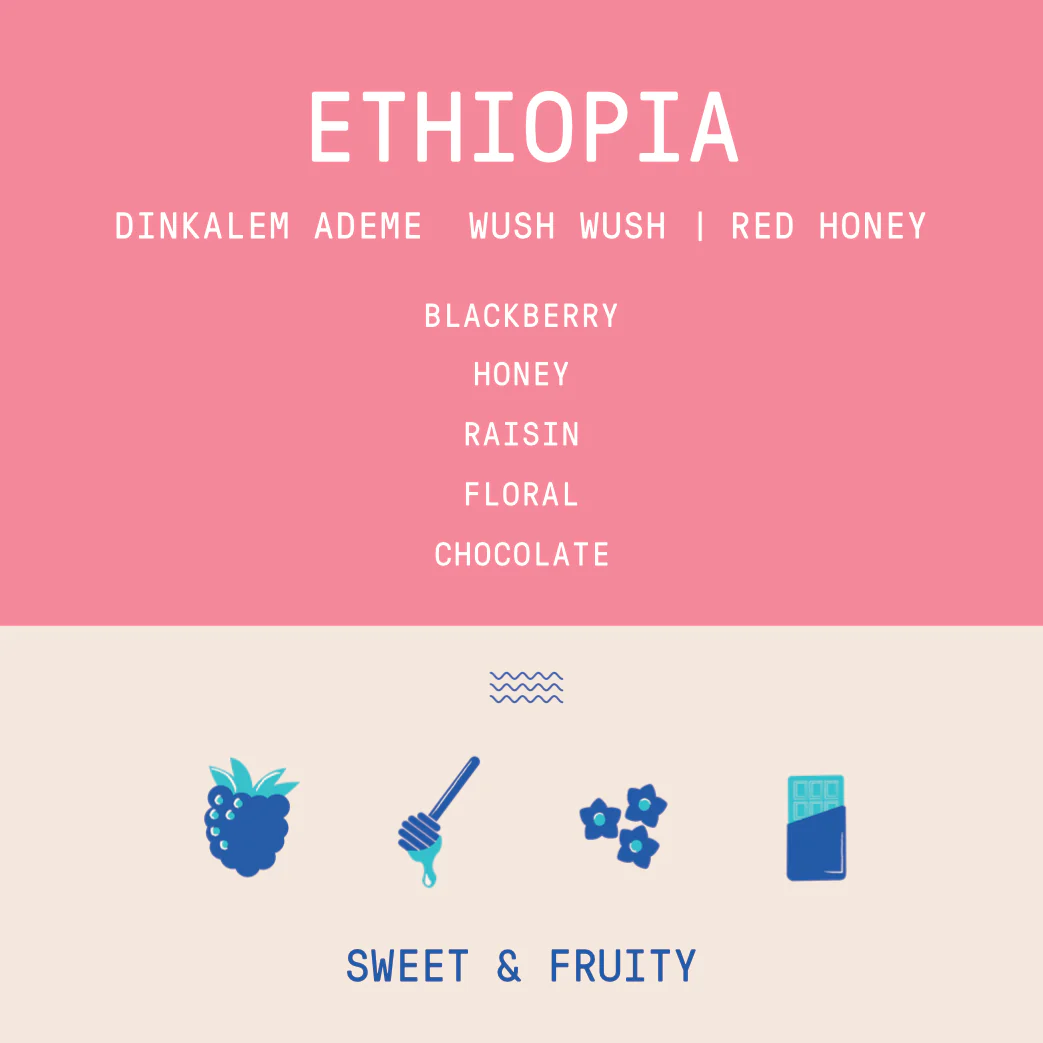 Ethiopia - Dinkalem Ademe | Wush Wush Red Honey - Archived - Image 2