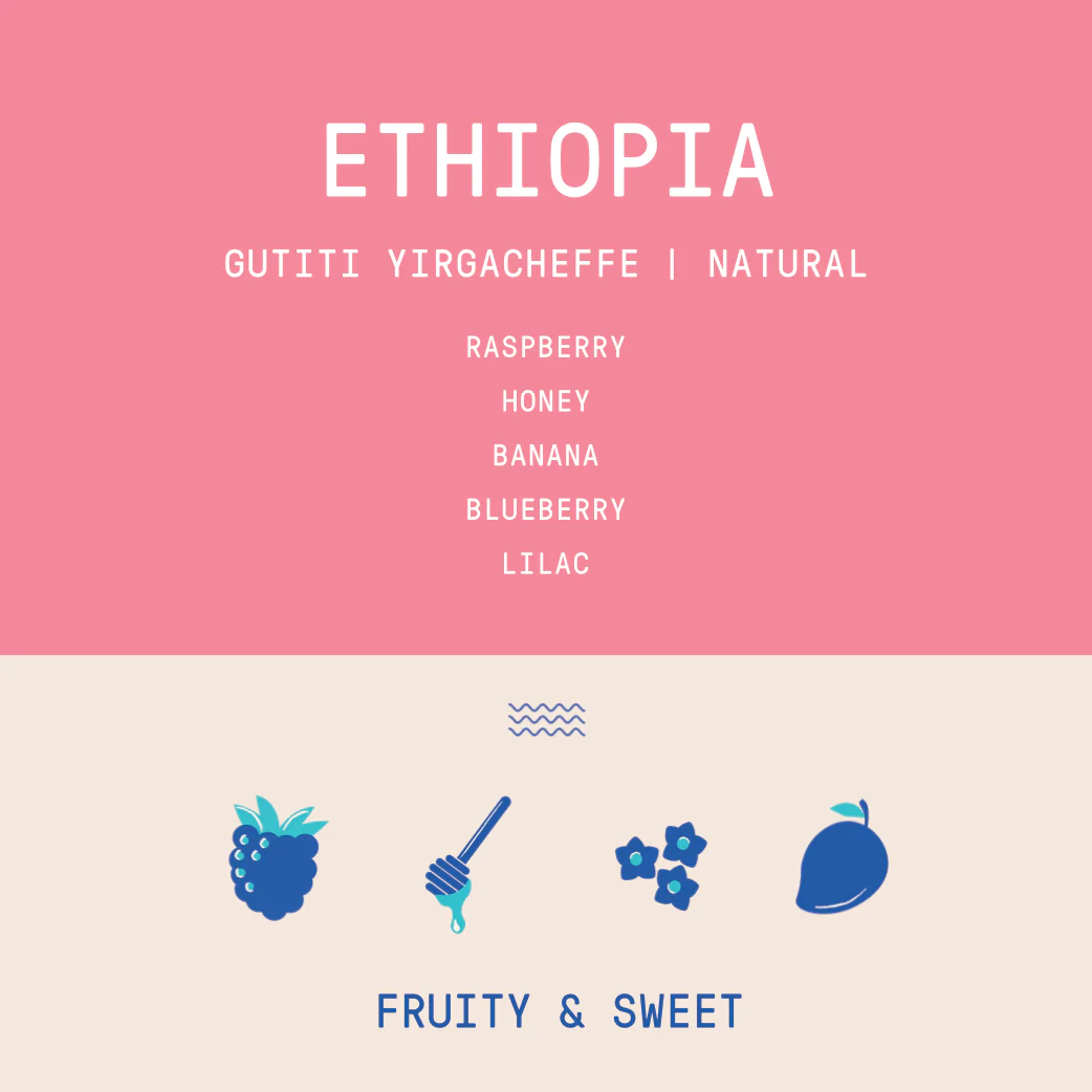 Ethiopia - Gutiti Yirgacheffe | Natural - Archived - Image 2