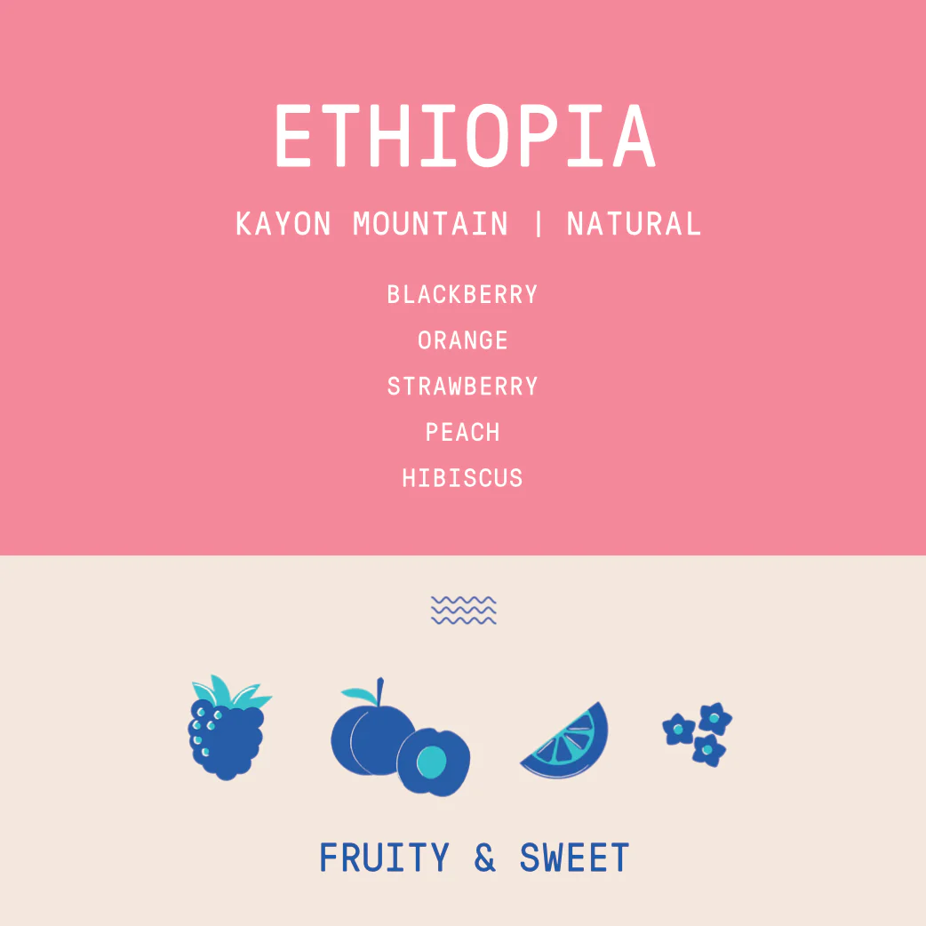 Ethiopia - Kayon Mountain Shakiso | Natural - Archived - Image 2