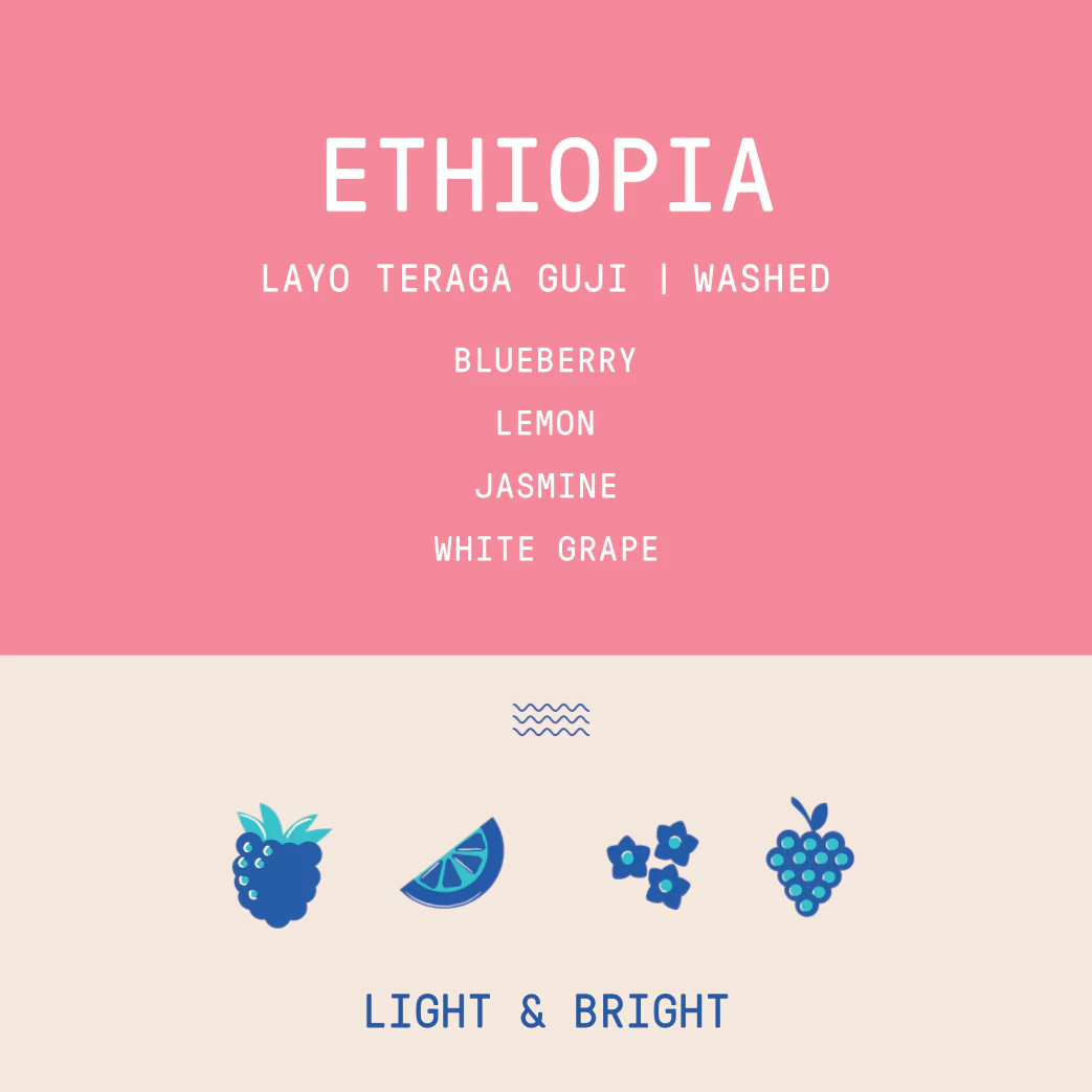 Ethiopia - Layo Teraga Guji | Washed - Archived - Image 2