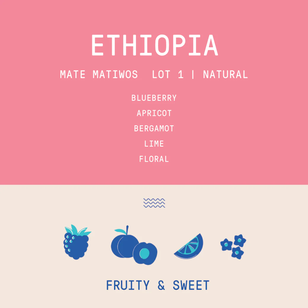 Ethiopia - Mate Matiwos Lot 1 | Natural - Archived - Image 2