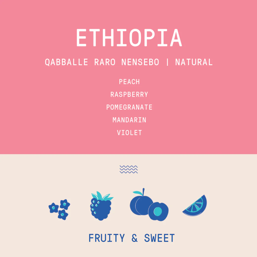 Ethiopia - Qabballe Raro Nensebo | Natural - Archived - Image 2