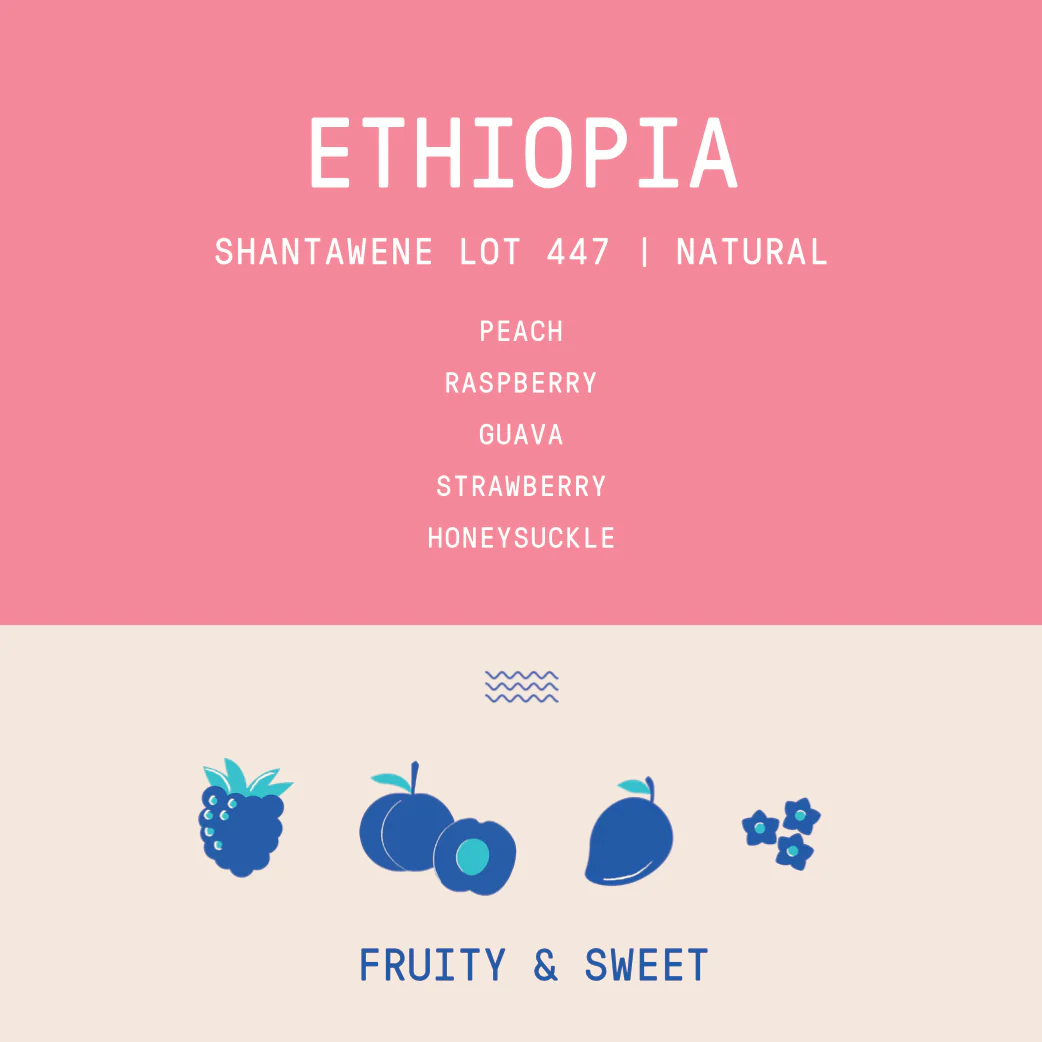 Ethiopia - Shantawene | Natural Lot 447 - Archived - Image 2