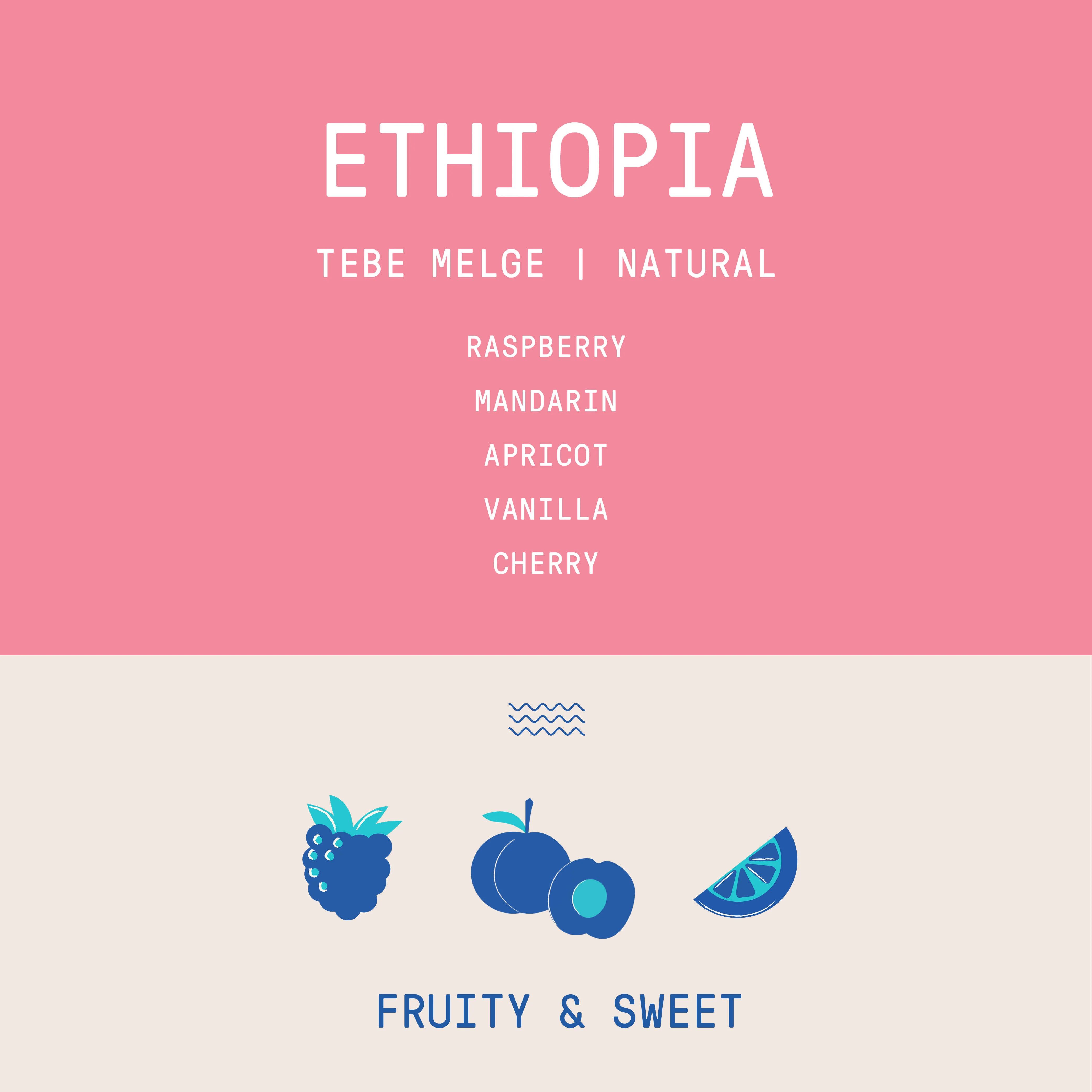 Ethiopia - Tebe Melge | Natural - Archived - Image 2