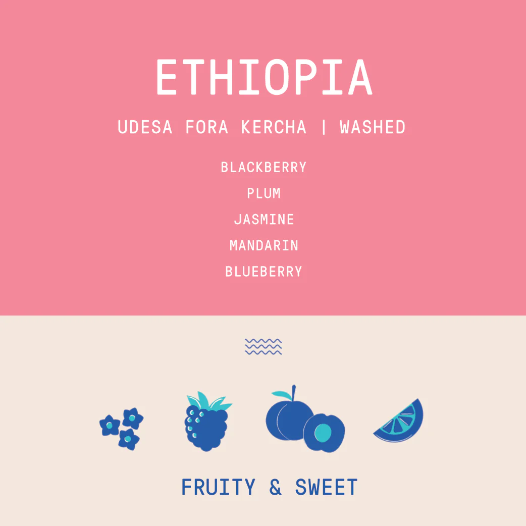 Ethiopia - Udesa Fora Station | Washed - Archived - Image 2
