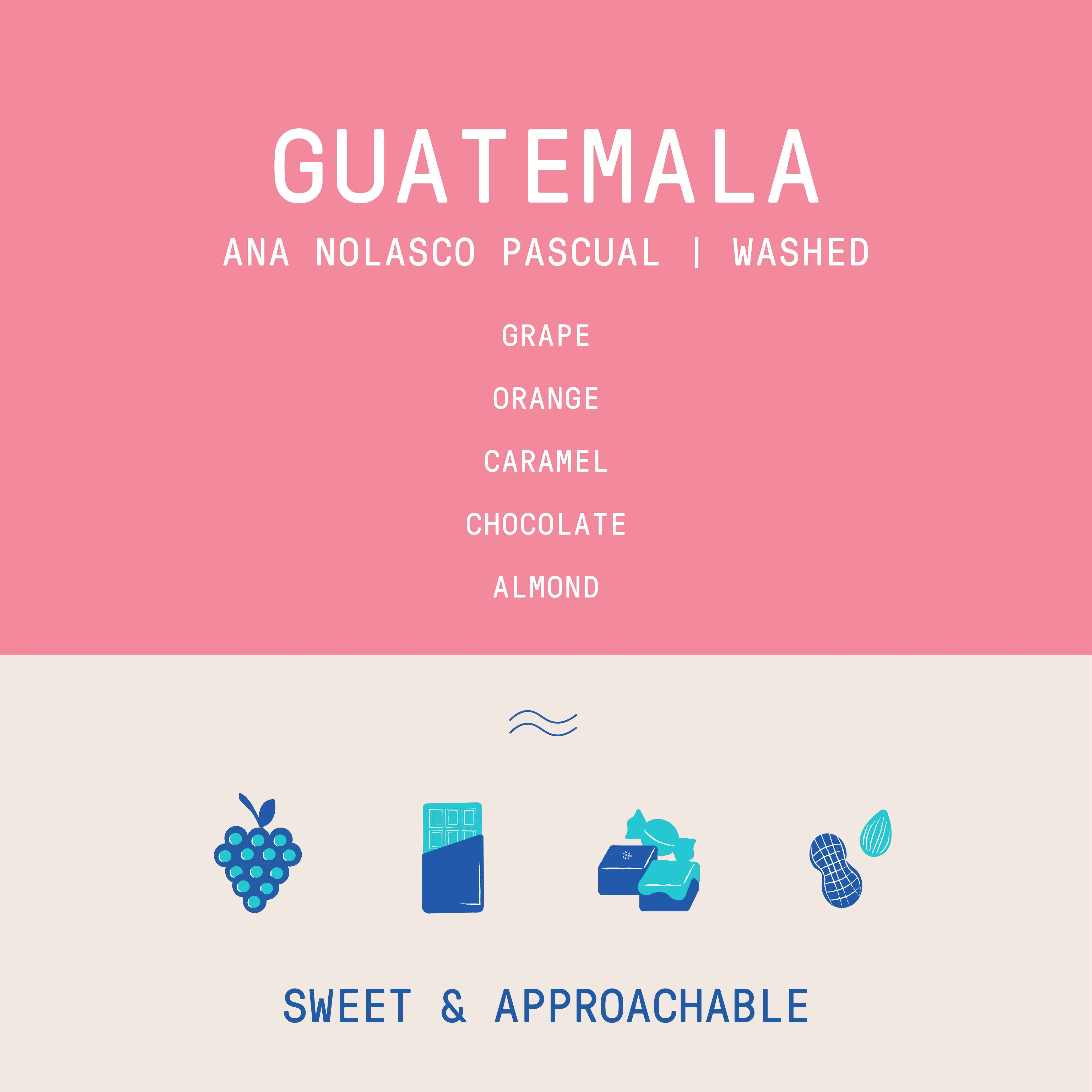 Guatemala - Ana Nolasco Pascual | Washed - Archived - Image 2