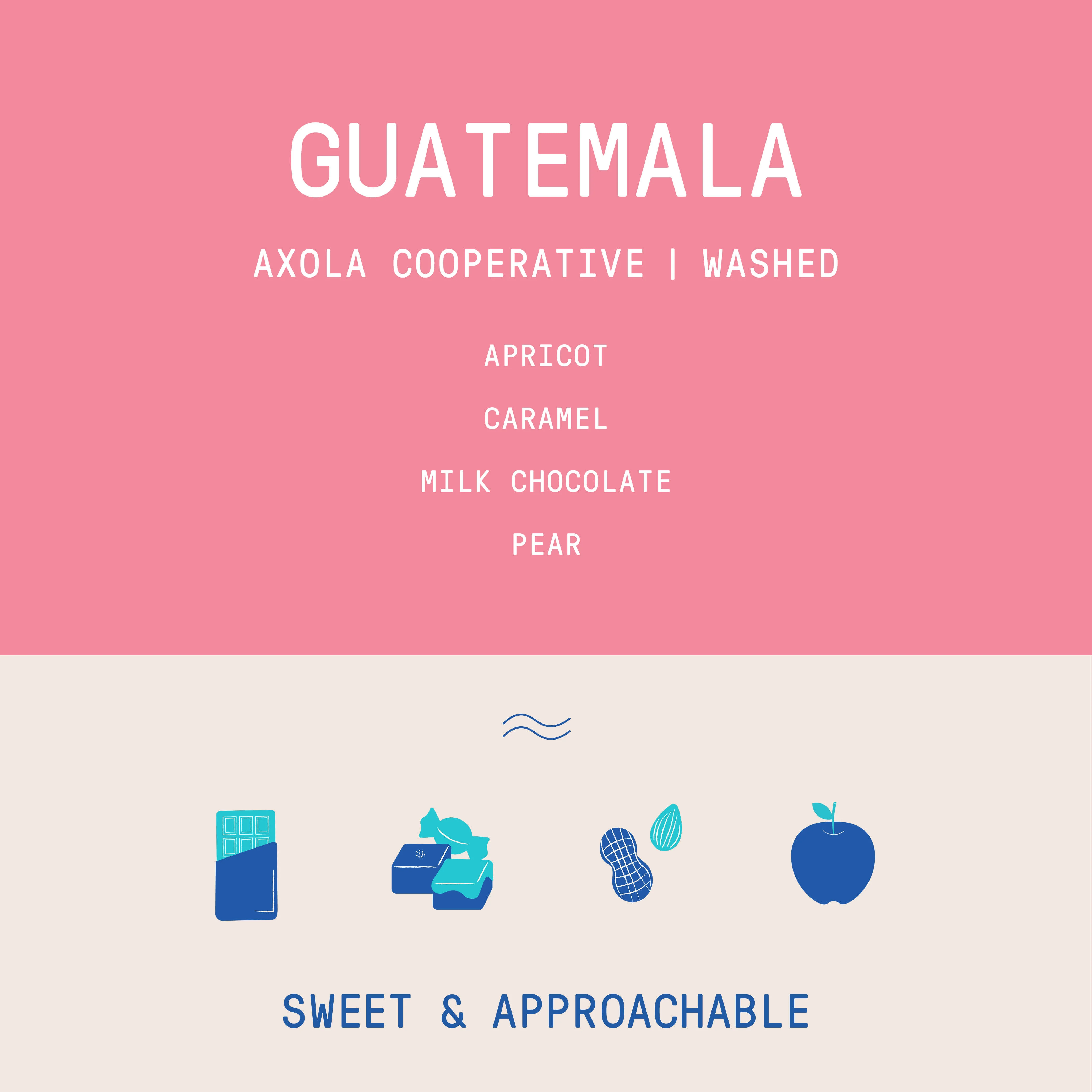 Guatemala - Axola Cooperative Manos de Mujer | Washed - Archived - Image 2