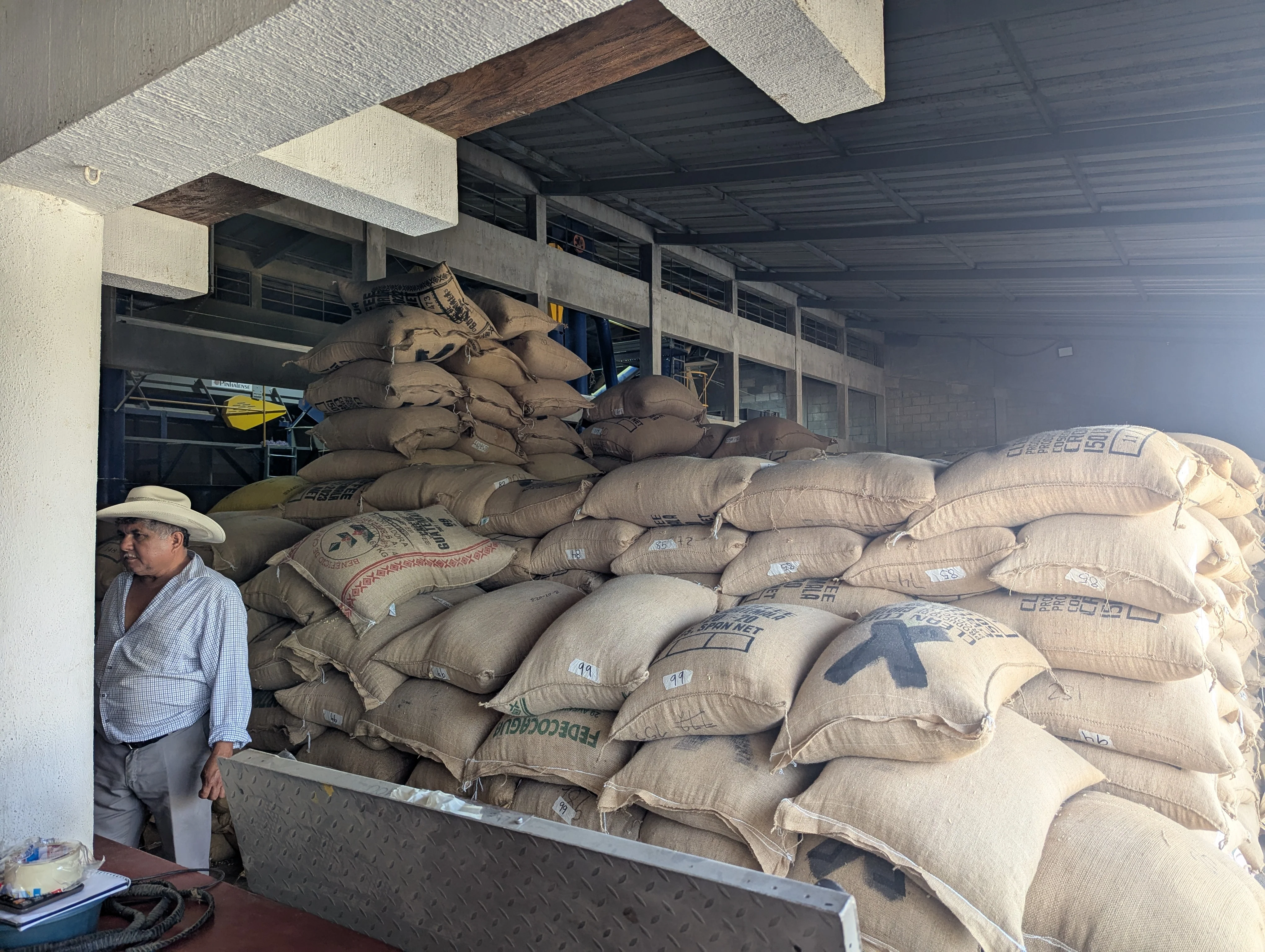 Guatemala - Huehuetenango Primavera Family Lot | Washed - Archived - Image 3