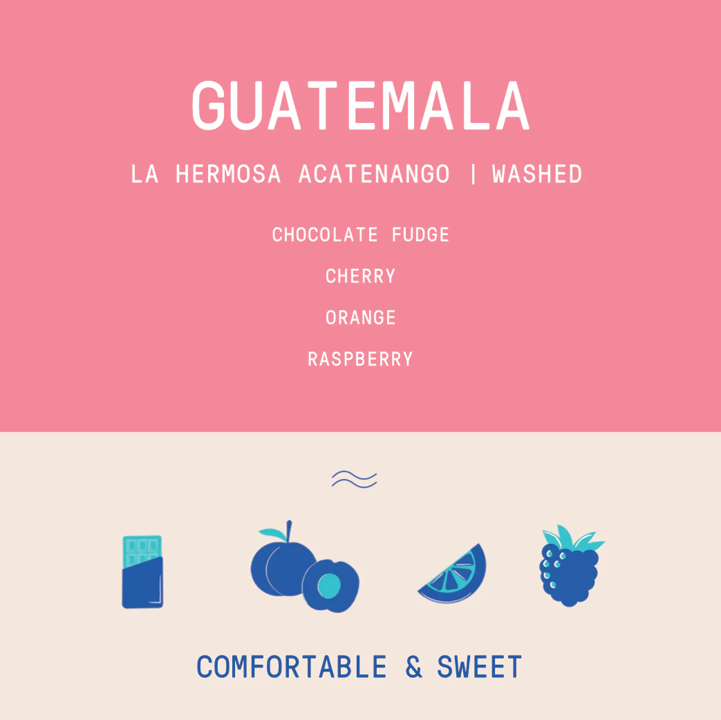 Guatemala - La Hermosa | Washed - Archived - Image 2