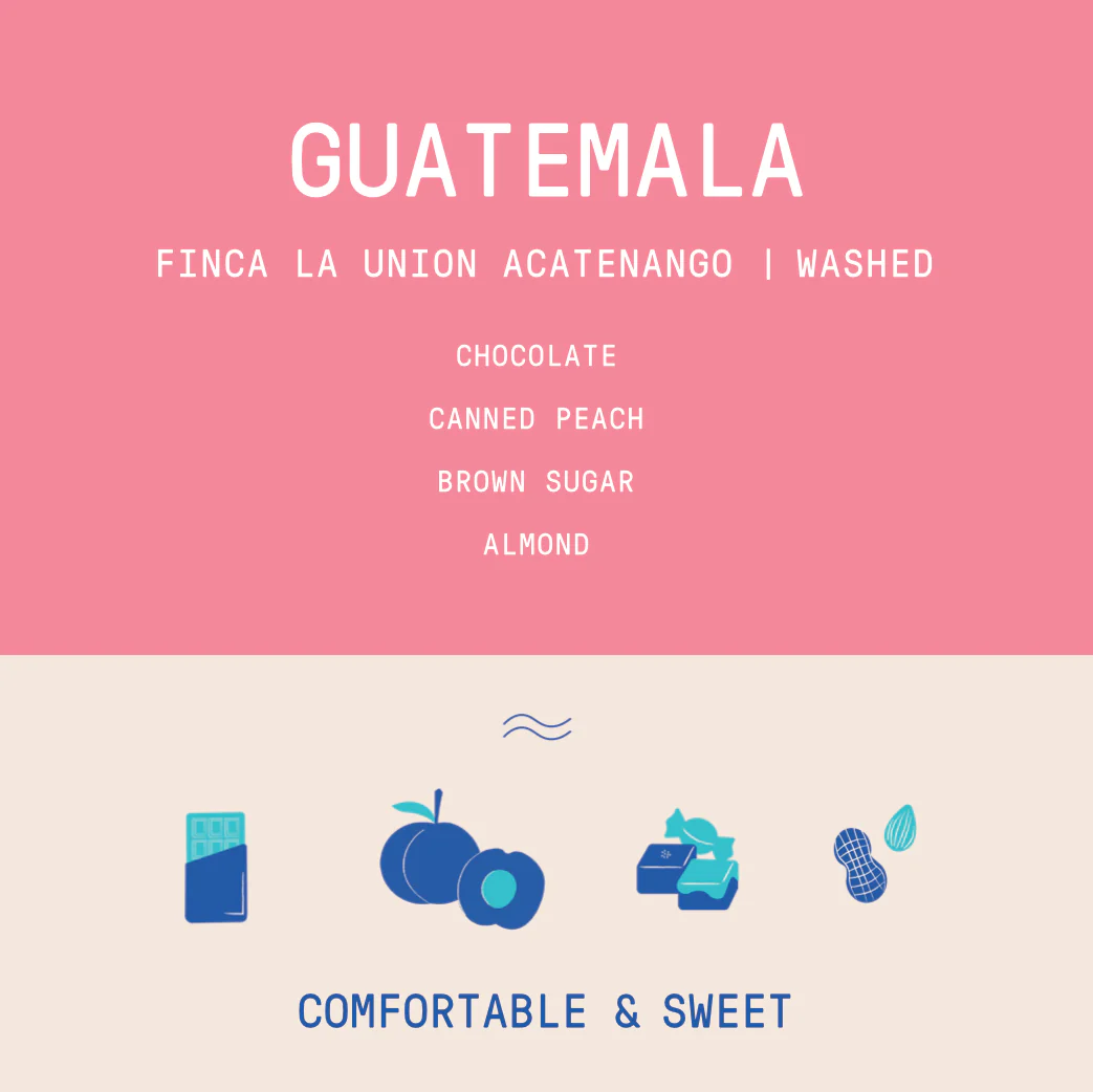 Guatemala - La Union Acatenango | Washed - Archived - Image 2