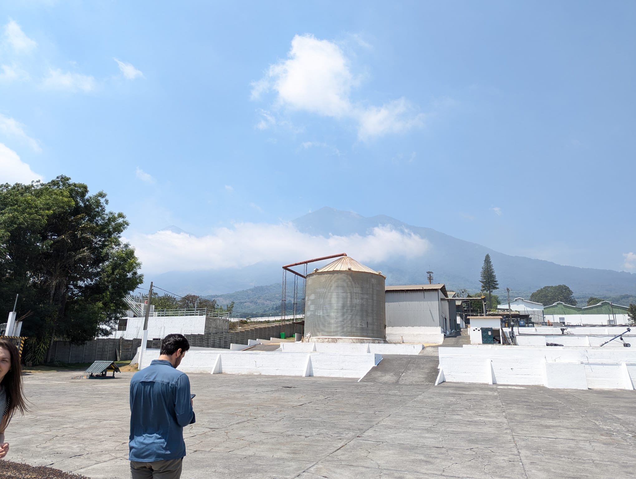 Guatemala - La Union Acatenango | Washed - Archived - Image 7