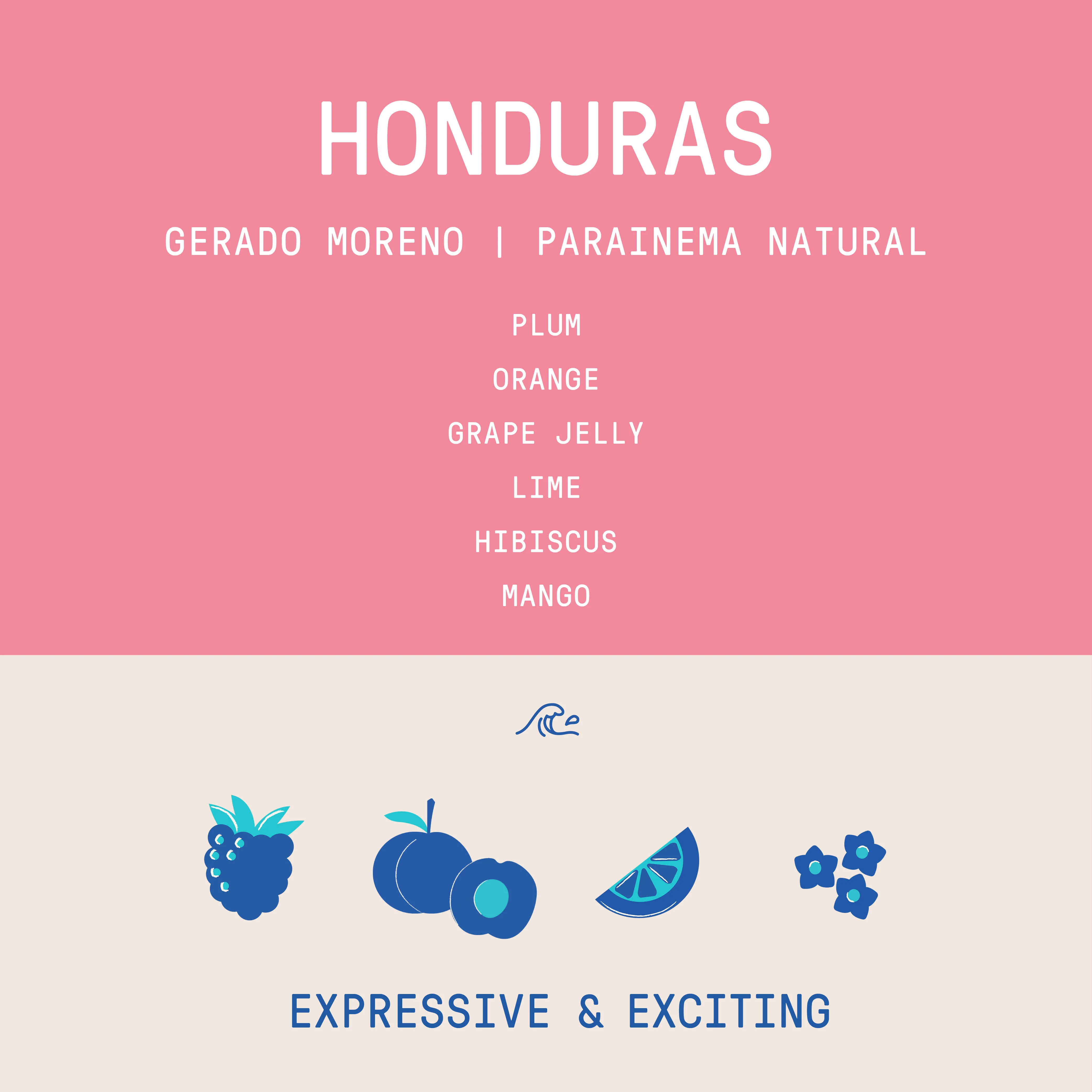 Honduras - Gerardo Moreno | Parainema Natural - Archived - Image 2