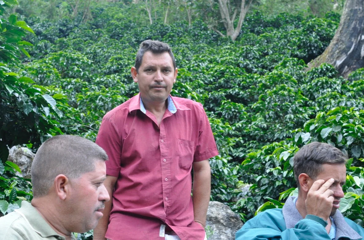Honduras - Gerardo Moreno | Parainema Natural - Archived - Image 3