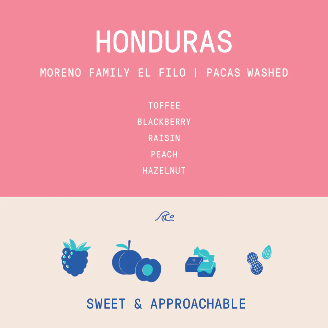 Honduras - Moreno Family El Filo | Washed - Archived - Image 2
