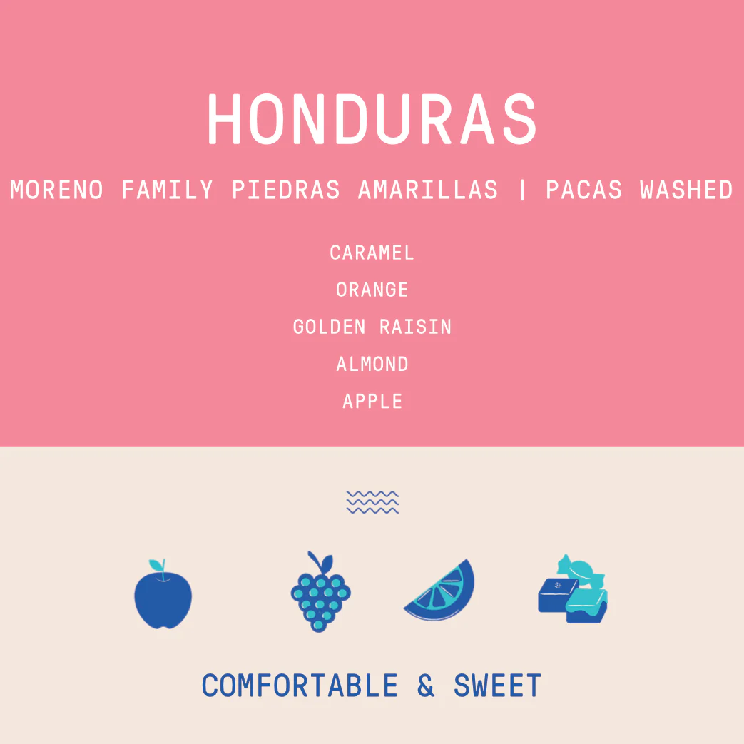 Honduras - Moreno Family Piedras Amarillas | Washed - Archived - Image 2