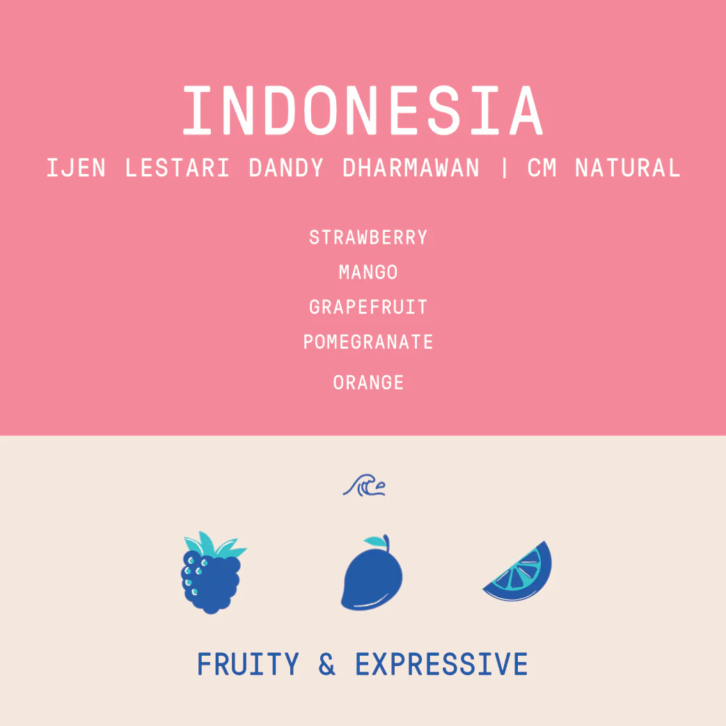 Indonesia - Ijen Lestari Dandy Dharmawan | CM Natural Lot 98 -  Nano Lot  - 100g - Archived - Image 2