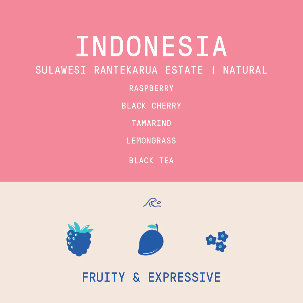 Indonesia - Sulawesi Sulotco Jaya Abadi Rantekarua Estate | Natural - Archived - Image 2