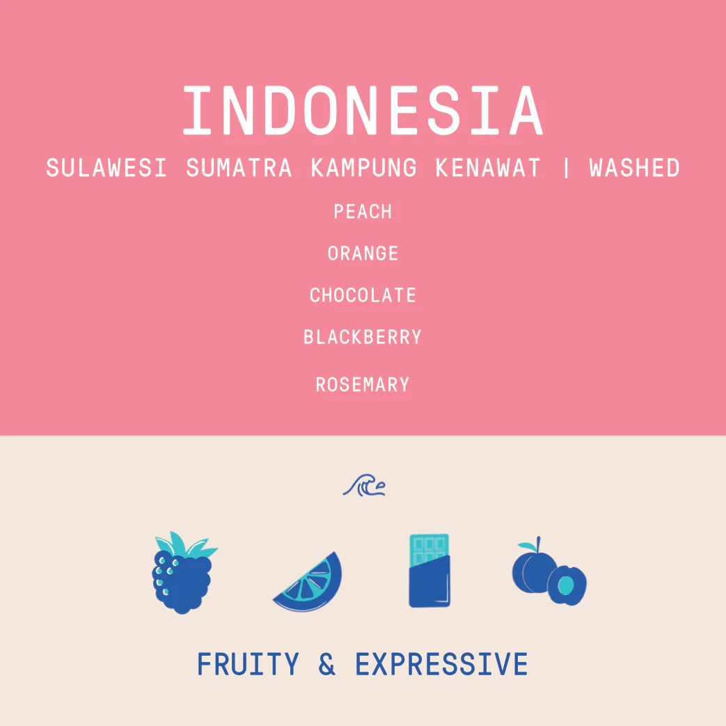 Indonesia - Sumatra Kampung Kenawat | Washed - Archived - Image 2