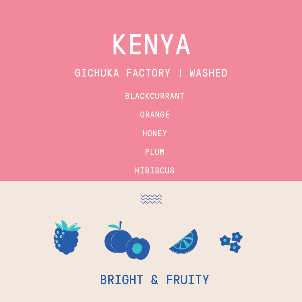 Kenya - Gichuka Factory | Washed - Archived - Image 2