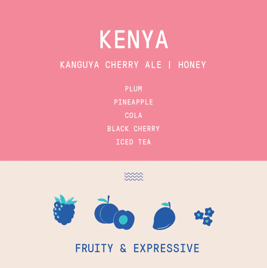 Kenya - Kanguya Cherry Ale | Black Honey - Archived - Image 2