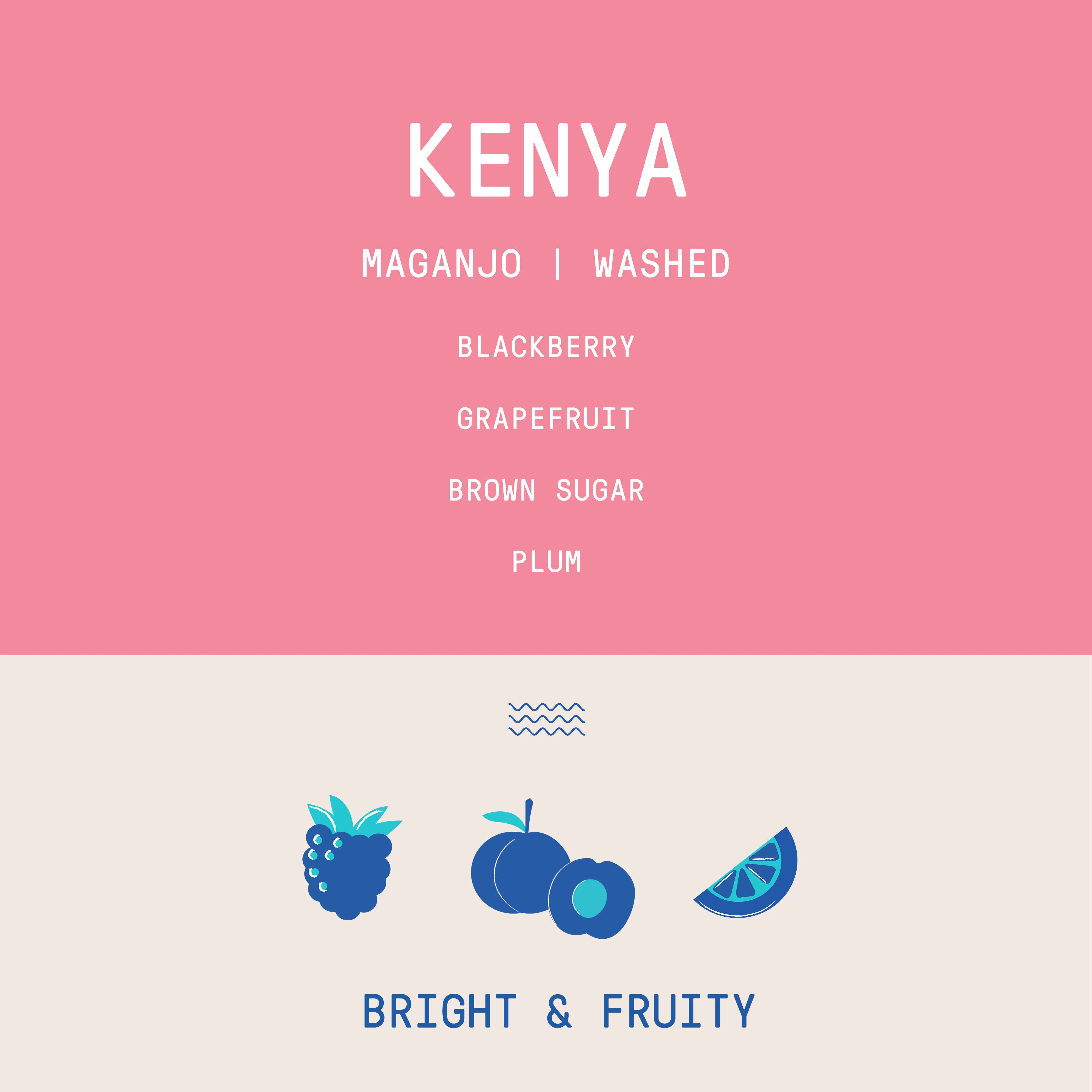 Kenya - Maganjo | Washed - Archived - Image 2