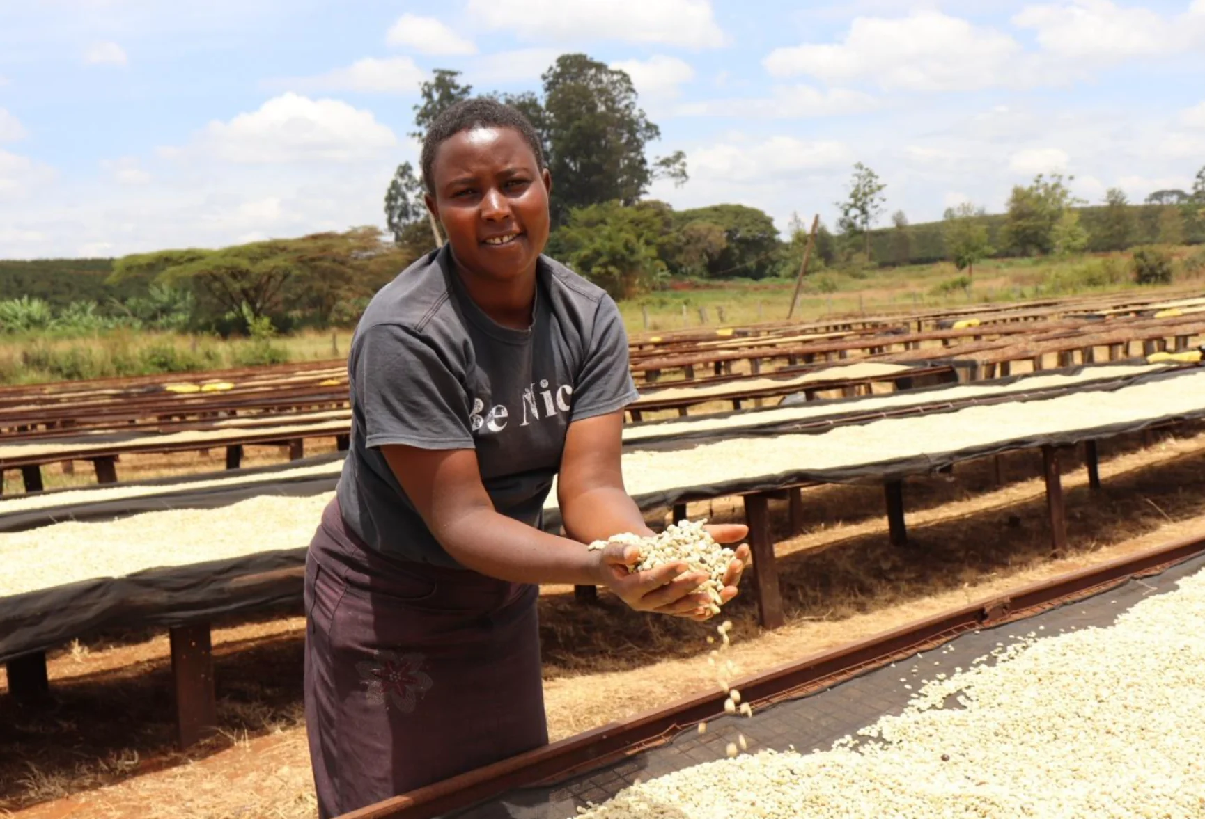 Kenya - Mchana Estate | Natural - Archived - Image 4