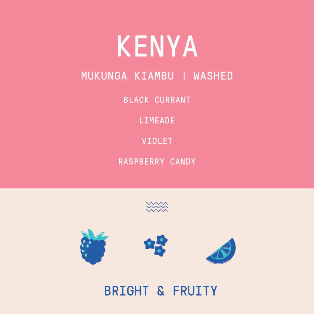 Kenya - Mukunga Kiambu | Washed - Archived - Image 2