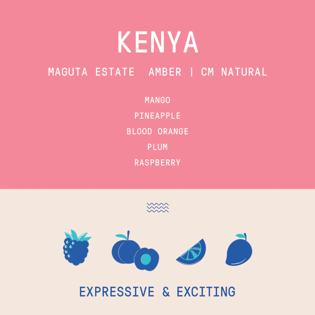 Kenya - Project Origin Maguta Estate Amber Lot 196| CM Natural - 100g - Archived - Image 2