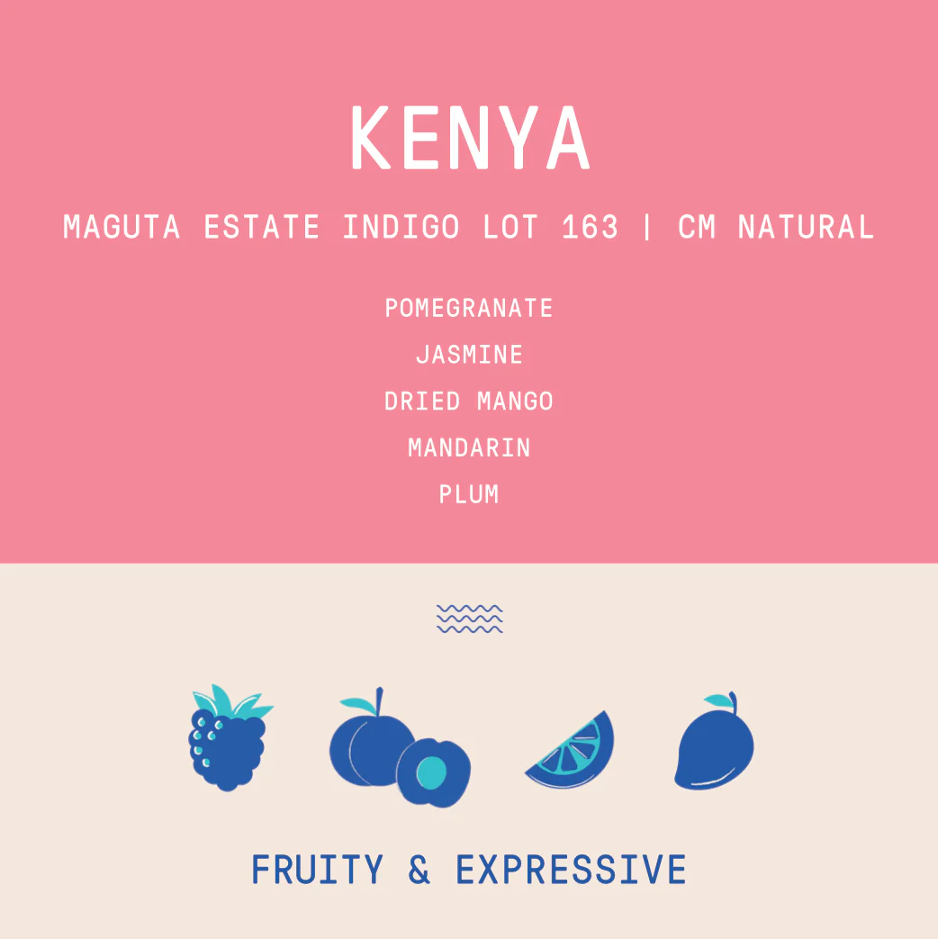 Kenya - Project Origin Maguta Estate Indigo Lot 163 | CM Natural - 100g - Archived - Image 2