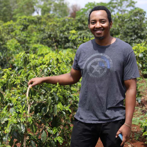 Kenya - Project Origin Maguta Estate Indigo Lot 163 | CM Natural - 100g - Archived - Image 3