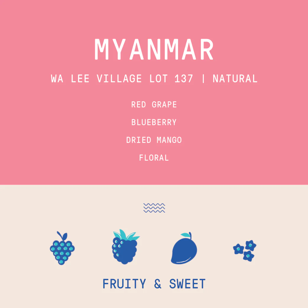 Myanmar - Behind The Leaf | Wa Lee Village - Natural - Archived - Image 2