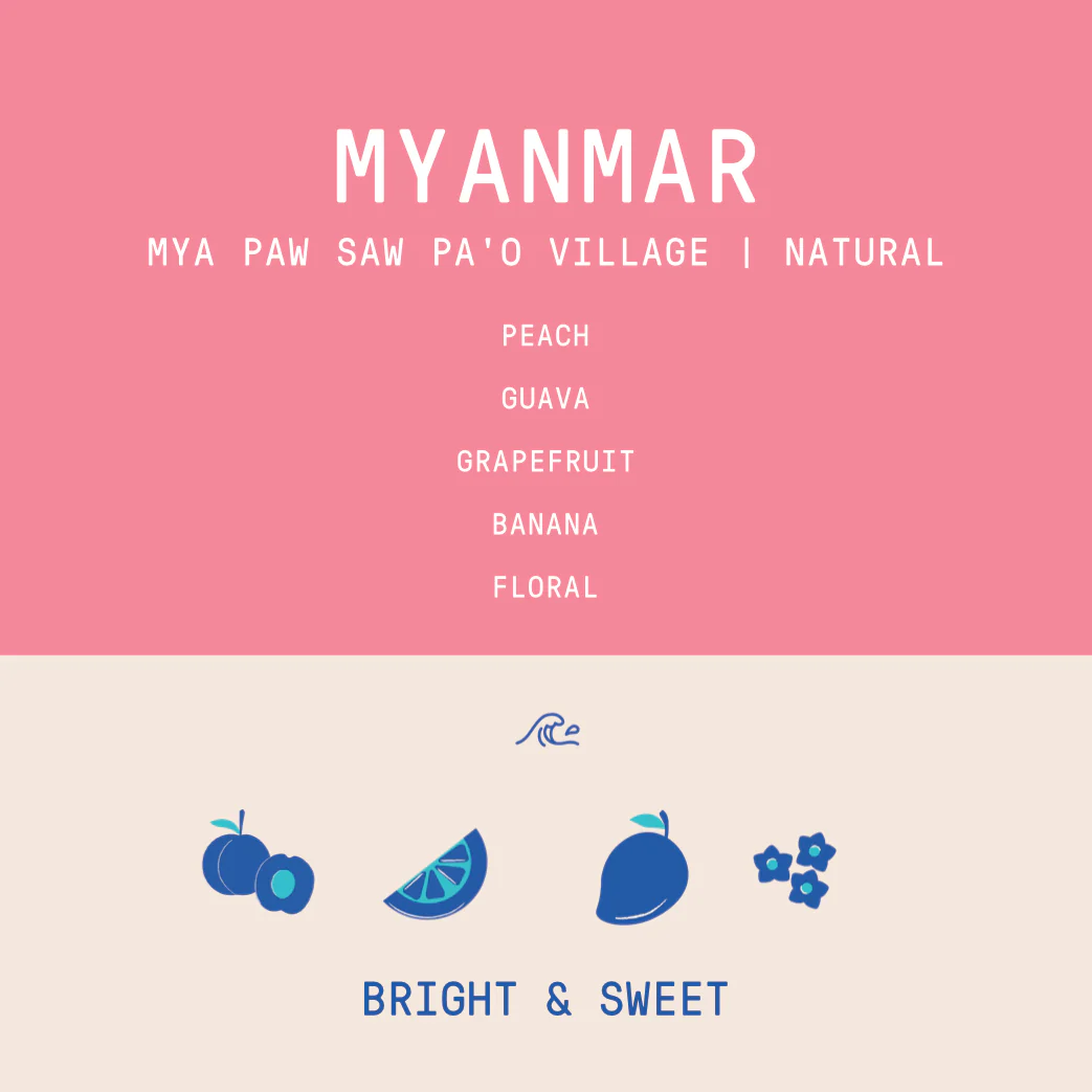 Myanmar - Mya Paw Saw Pa'O Village | Natural - Archived - Image 2
