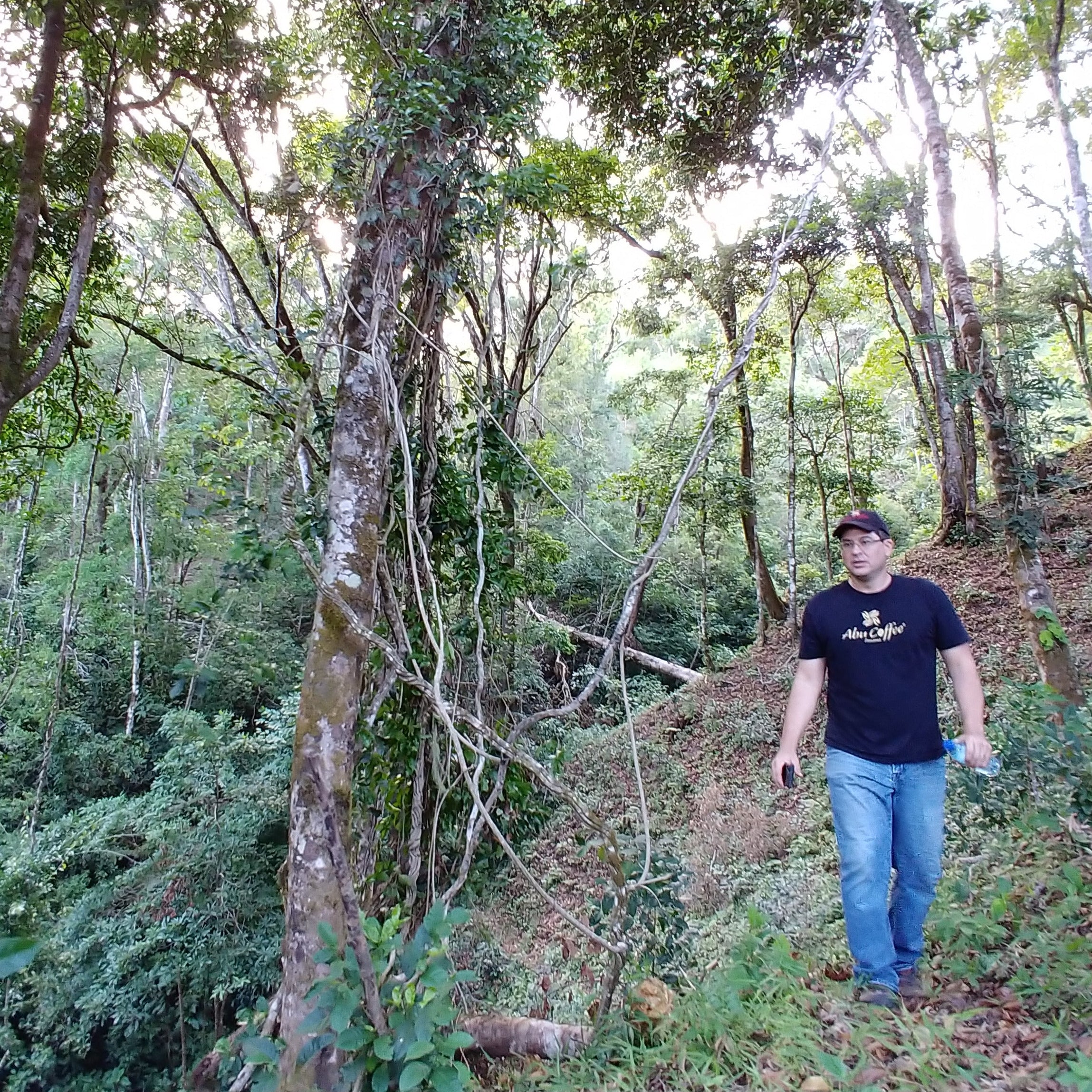 Panama - Abu Catuai Lot TN-630 | ASD Natural - Archived - Image 5