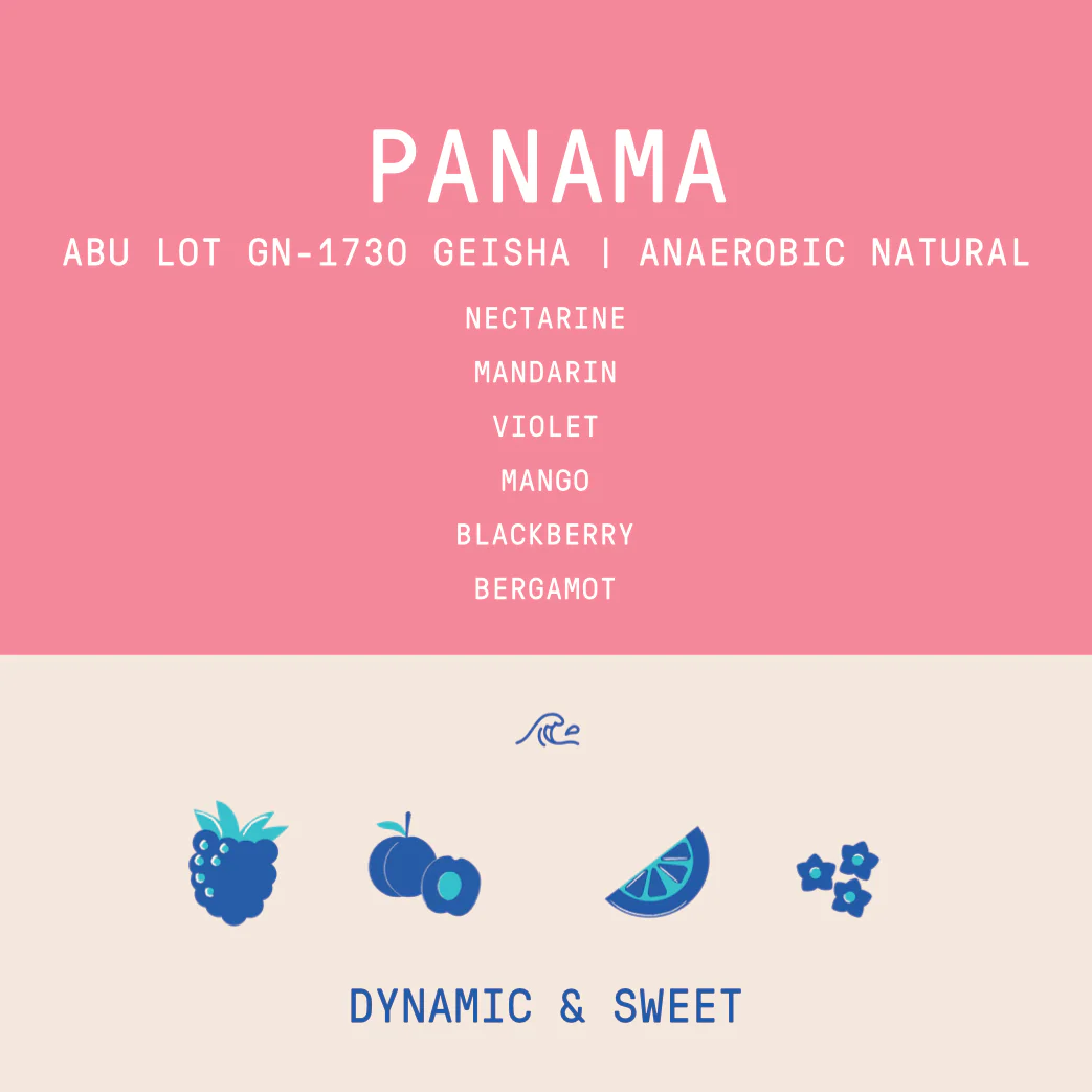 Panama - Abu Geisha GN-1730 | Double Phased Anaerobic Natural - 100g - Archived - Image 2