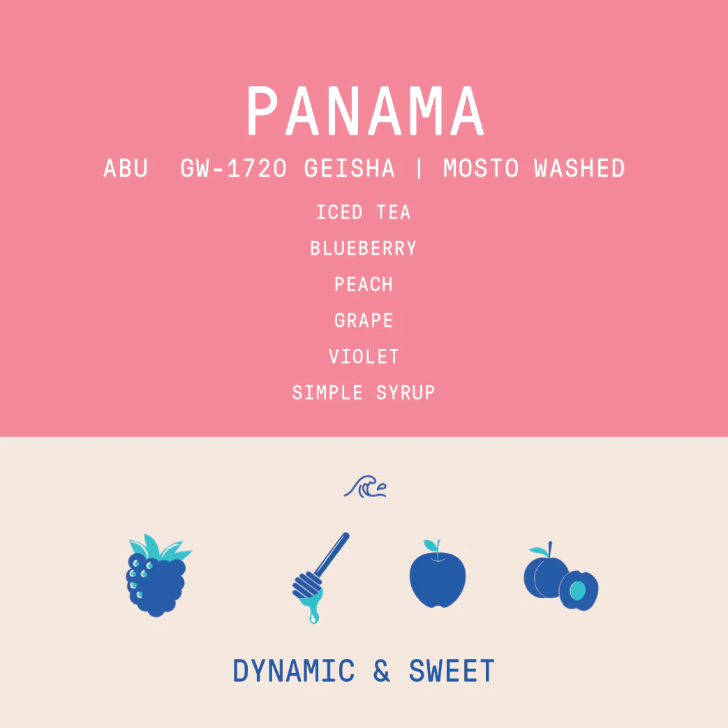 Panama - Abu Geisha GW-1720 | Mosto Washed - 100g - Archived - Image 2